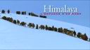 Himalaya - L'Enfance d'un Chef